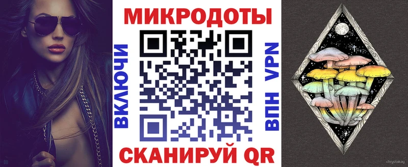 Галлюциногенные грибы Psilocybine cubensis  Приволжск 